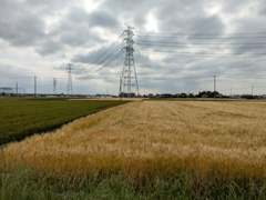 ちぐはぐ・・・