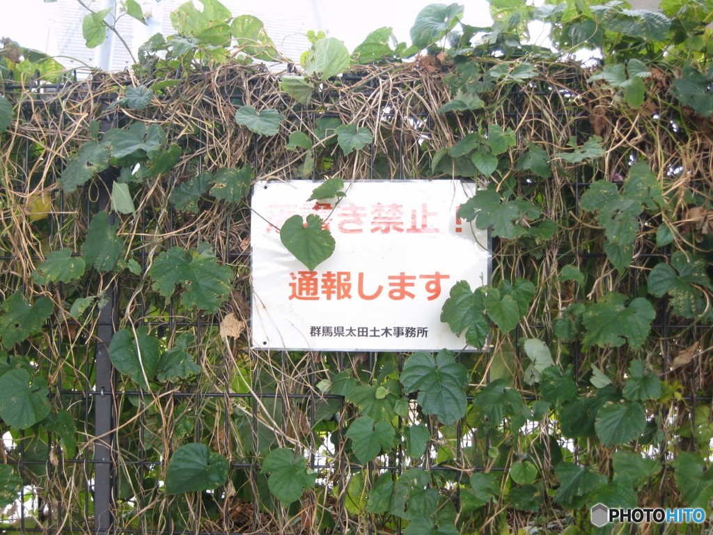 無人駅周辺にあったもの　２