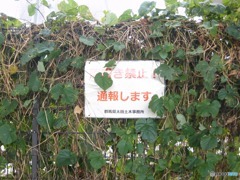 無人駅周辺にあったもの　２