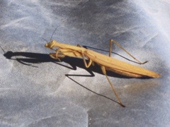 振り向かれて、目があってしまいました