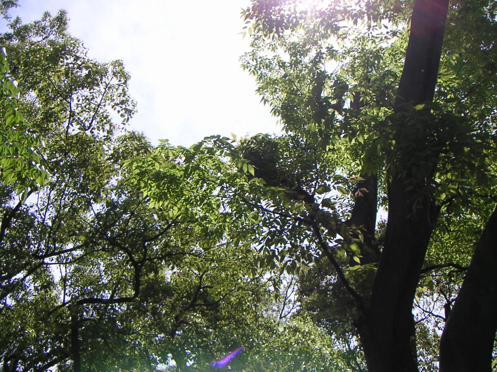 PICT0110