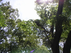 PICT0110