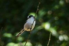 P1010171