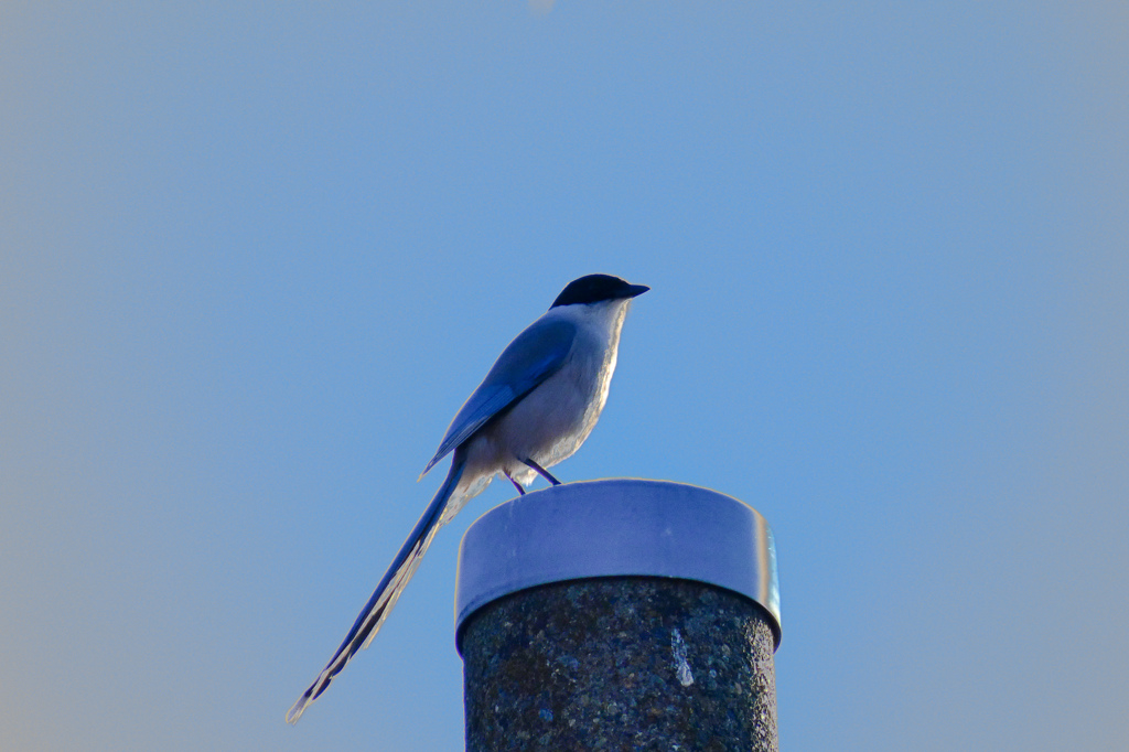 P1010281