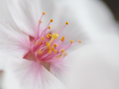 P3310288