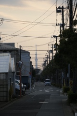 並ぶ電柱、スカイツリー
