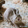 大あくび
