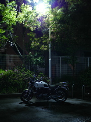 夜に佇む