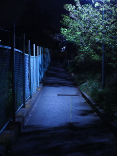 夜道