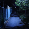 夜道