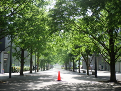 歩道