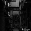 monochrome