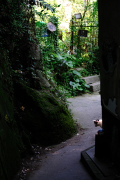 猫の細道