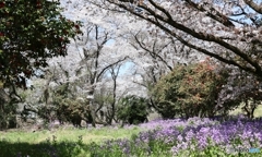 春の花園