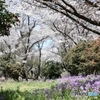 春の花園