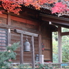 晩秋のお寺