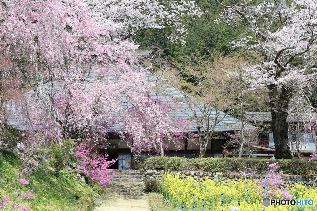 花園の寺