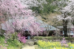 花園の寺