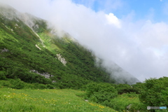 山肌をなぞる