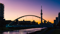 The Colours of the Night