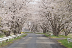 宮城県登米市南方