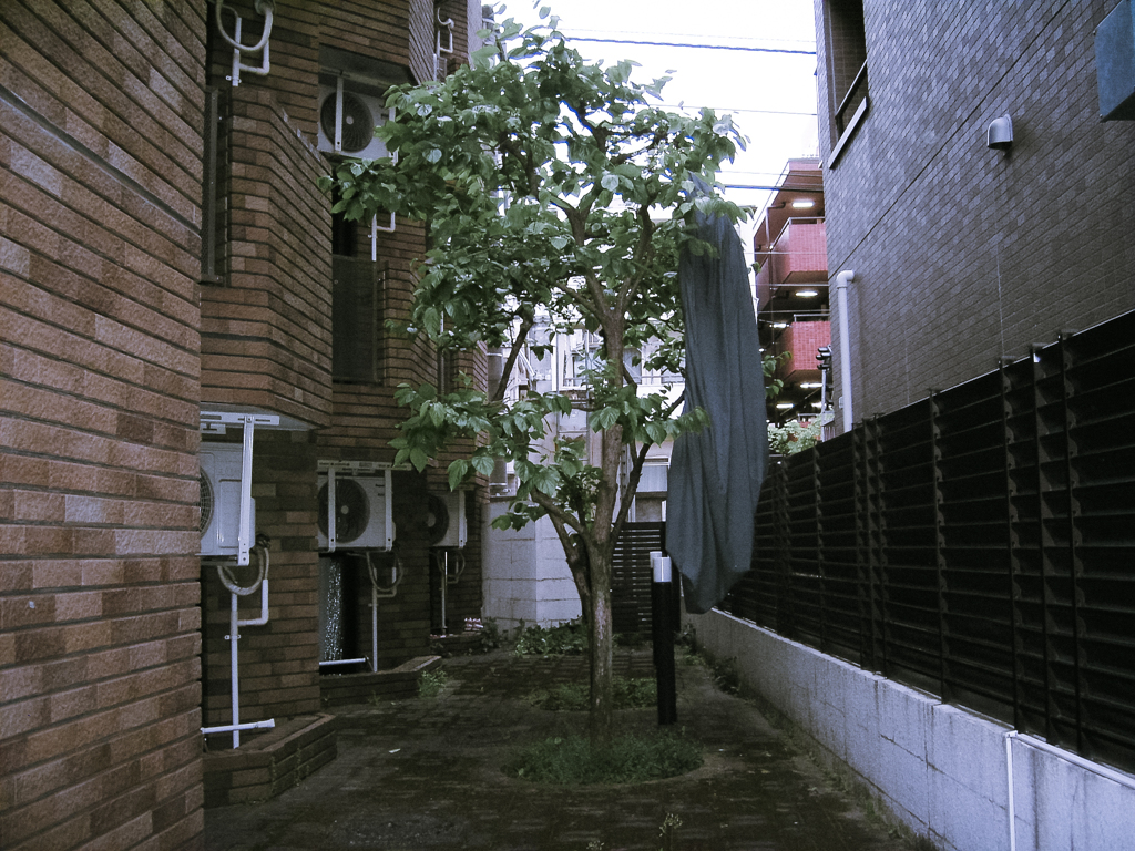 KICX1565