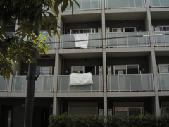 KICX0481