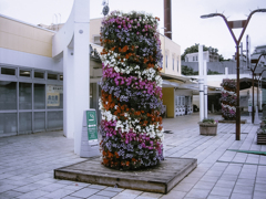 KICX8648
