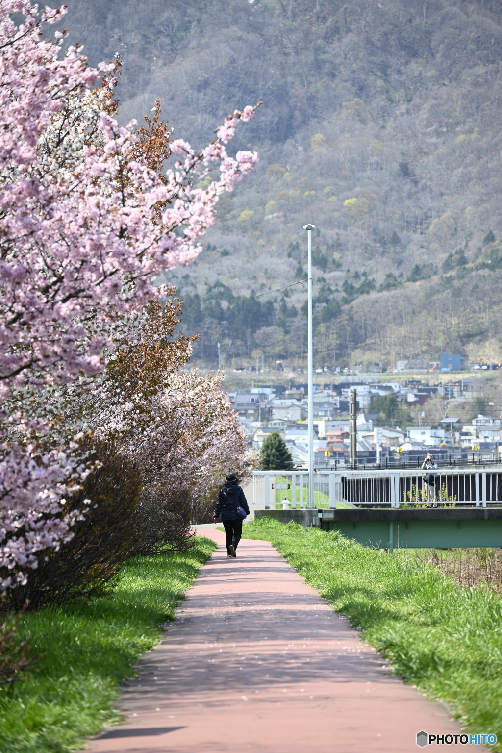 一本道