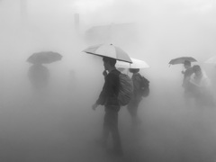 霧の中