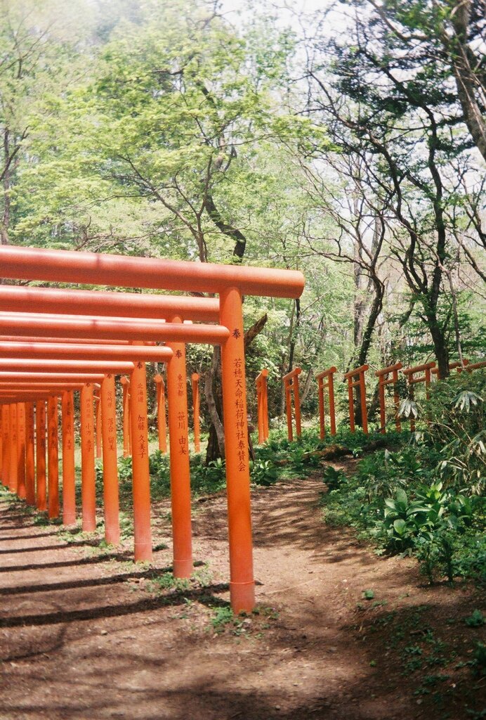0605126_0034