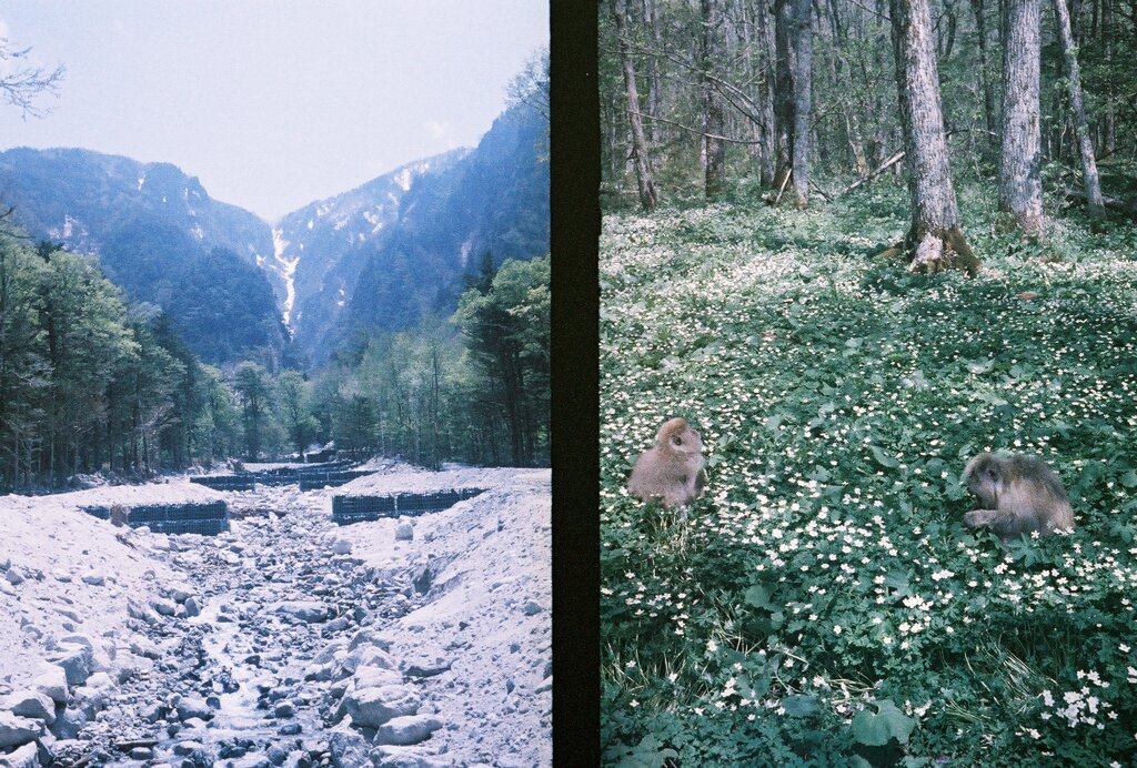 0522147_0003
