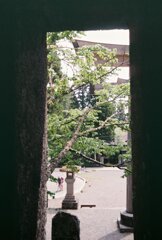 0605126_0055