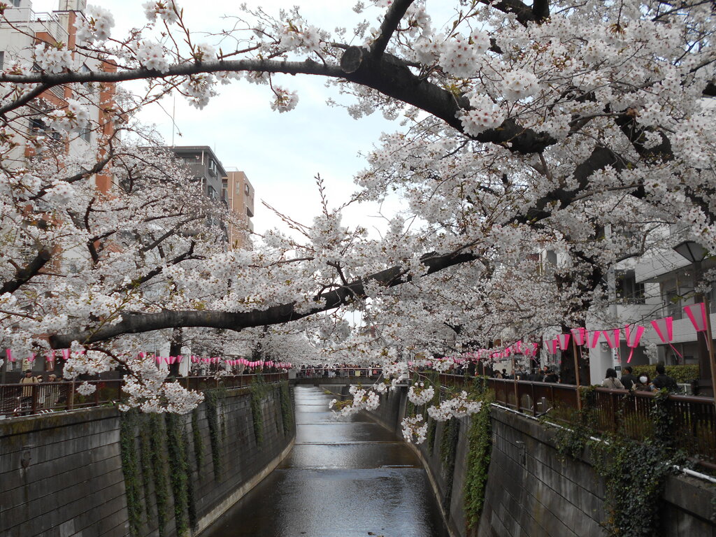 DSCN3184 - コピー