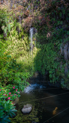 _DSC5676