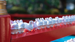 岡崎神社 うさぎさん達