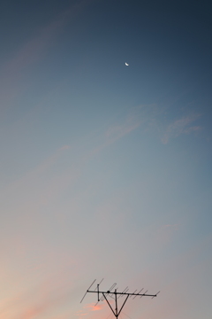 朝の三日月