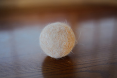 茶トラ白猫の毛玉