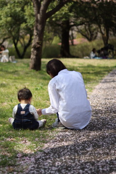 桜は散った