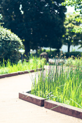 近くの公園