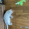 我が家の人気者