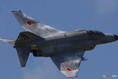 オジロファントム！