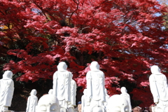 紅葉寺