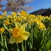 七ヶ岳登山口