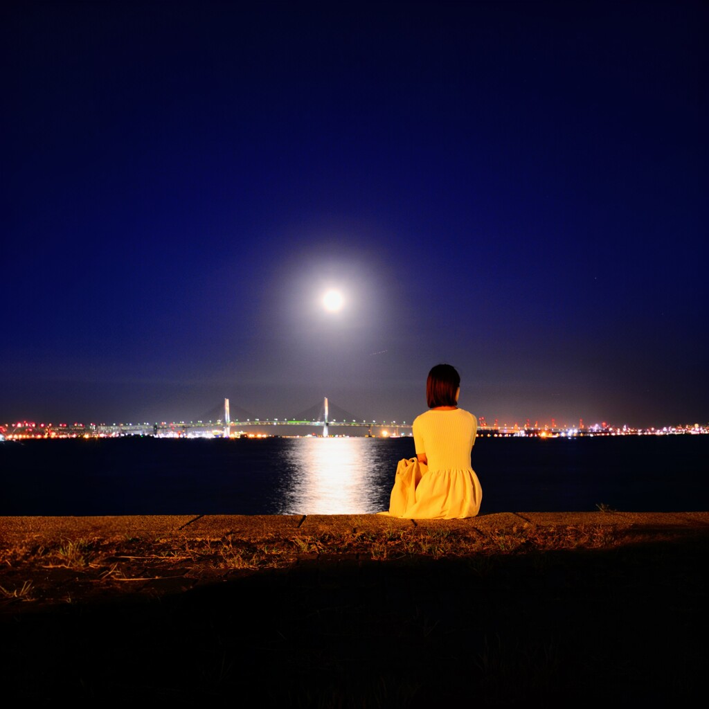 確か満月の夜