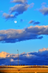 【整理】最近のぷらぷら散歩スナップ　14