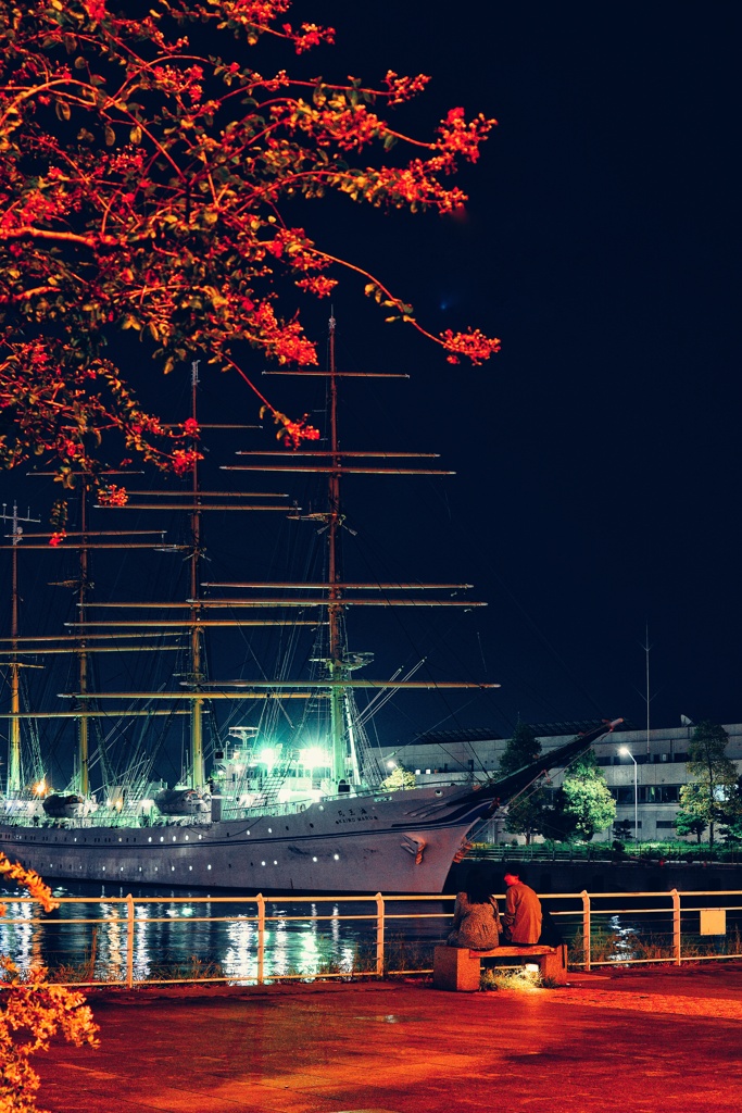 夜の散歩スナップ　海王丸II