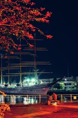夜の散歩スナップ　海王丸II