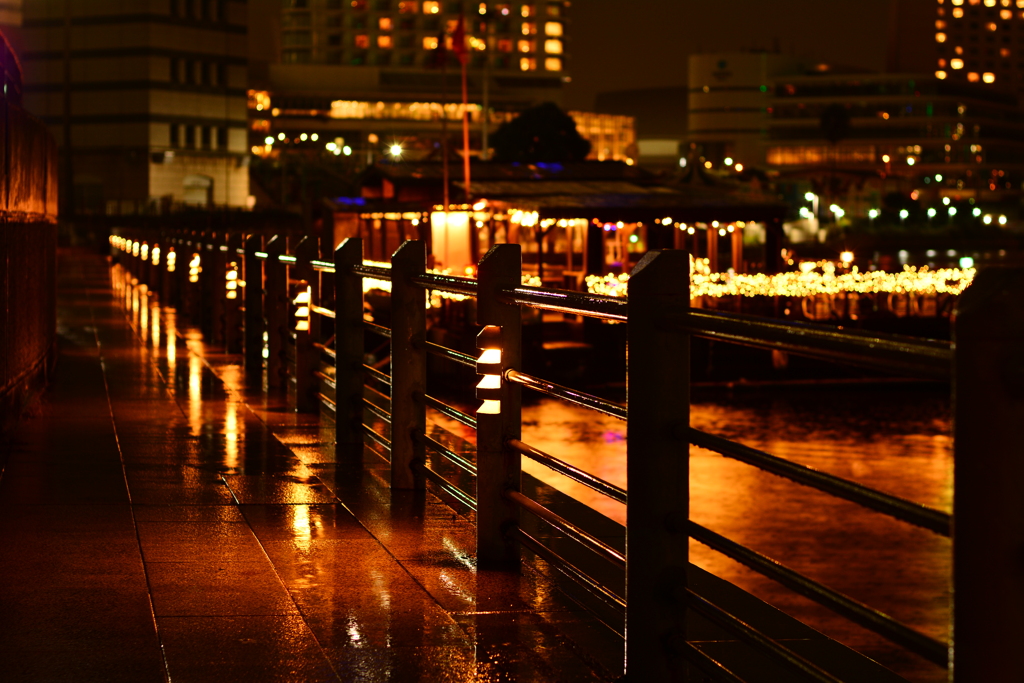 雨の夜の散歩スナップ 2