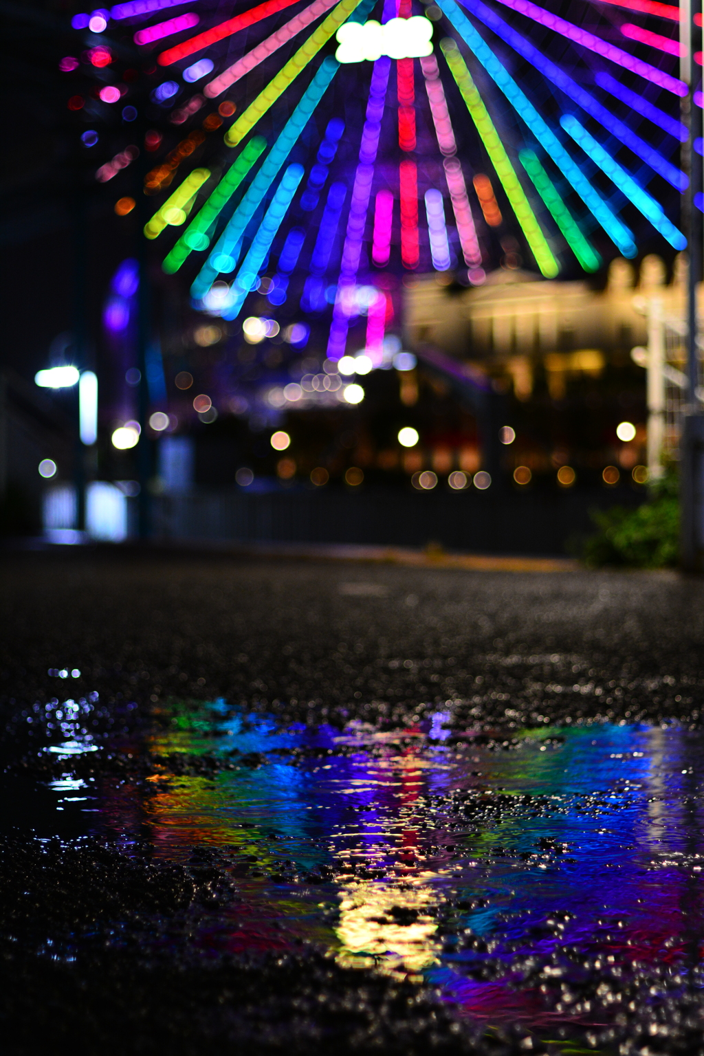 雨の夜のお散歩スナップ 1
